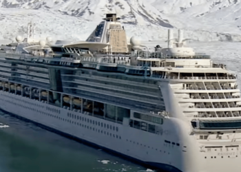 Terrifying Salmonella Outbreak Hits Royal Caribbean Cruise: 180 Passengers and Three Crewmembers Fall Sick
