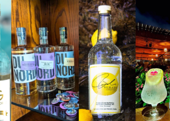 National Vodka Day: 5 Black-Owned Vodka Brands You Gotta Try