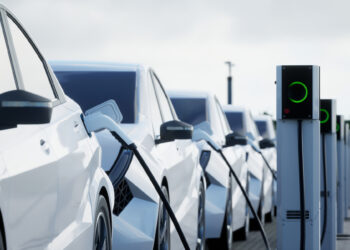 Florida Officials Warn of Fire Risks from Electric Vehicles as Hurricane Milton Approaches