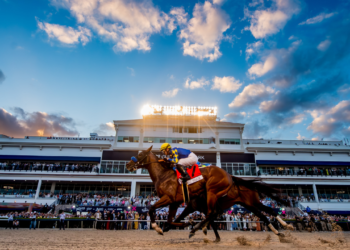 The 2025 Pegasus World Cup: A Fusion of Sport, Style, and Entertainment Returns to Miami