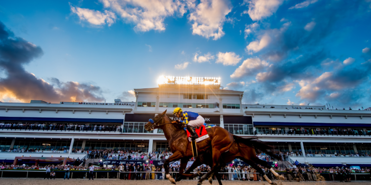 Pegasus World Cup - Baller Alert The 2025 Pegasus World Cup: A Fusion of Sport, Style, and Entertainment Returns to Miami