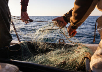 Florida Fisherman Uncovers $1.7 Million Worth of Cocaine in the Atlantic Ocean