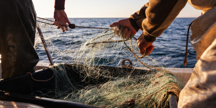 Florida Fisherman Uncovers $1.7 Million Worth of Cocaine in the Atlantic Ocean