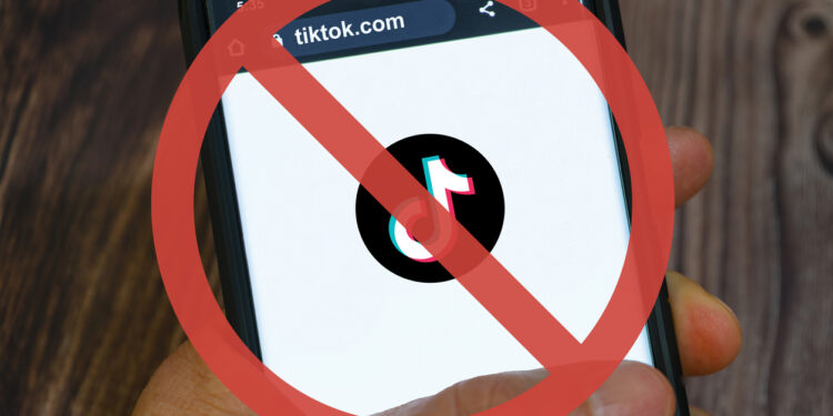 TikTok Plans U.S. Shutdown Unless Supreme Court Strikes Down Law Requiring Sale