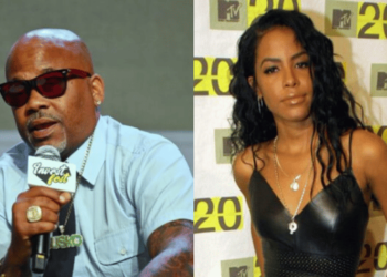 Dame Dash Claims Director Hype Williams Took Jet Aaliyah Was Supposed to Be On Before Fatal Crash [Video]