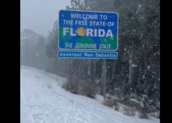 Southern Snowstorm: Florida and Louisiana Experience Rare Winter Weather
