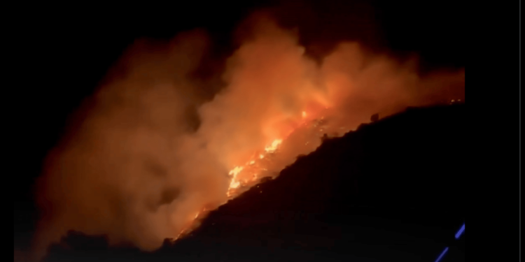 San Diego County Hit With Two Wildfires as the State Continues Grappling With the Aftermath of the Los Angeles Fires