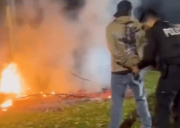 Homeless Man Arrested for Starting Brush Fire Near Los Angeles Amid Ongoing Wildfires [Video