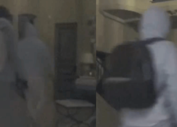 Newly Released Footage Shows Evacuated Altadena Home Being Looted Amid Wildfire Crisis [Video]
