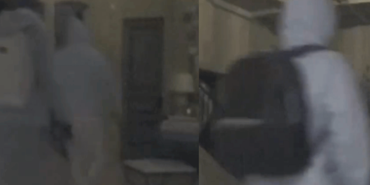 Newly Released Footage Shows Evacuated Altadena Home Being Looted Amid Wildfire Crisis [Video]