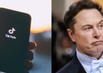 TikTok Says Viral Reports of Possible Elon Musk Acquisition Are “Pure Fiction”