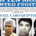 Mexico Extradites 29 Alleged Cartel Members to the U.S., Including Top Drug Lord