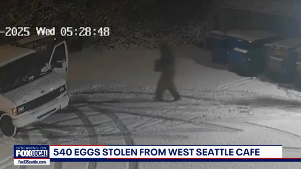 Seattle egg heist