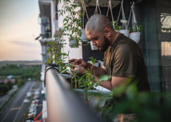 Gardening Is Therapy: A Soothing Escape and a Path to Fresh, Homegrown Food