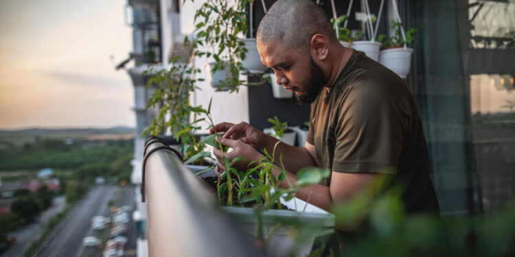 Gardening Is Therapy: A Soothing Escape and a Path to Fresh, Homegrown Food