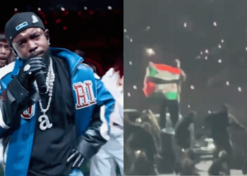 Man Pulls Out Palestine Flag During Kendrick Lamar's Super Bowl Halftime Show, Tackled by Security [Video]
