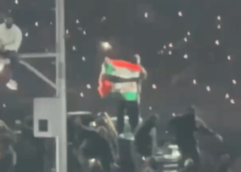 Super Bowl Halftime Protester Escapes Charges After Displaying Palestinian Flag
