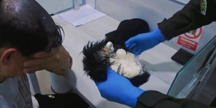 Man Busted at Airport for Attempting to Smuggle Cocaine Under His Wig