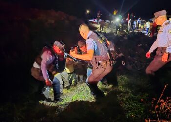 Caribbean Plane Crash Leaves 12 Dead, Including Renowned Honduran Artist and Politician