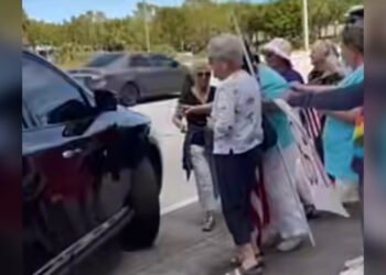 Man Drives Car into Protesters Outside Tesla Dealership in Florida, No Injuries Reported [Video]