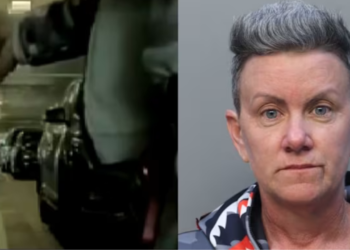 Florida Woman Charged with Felony for Sticking Gum on Tesla