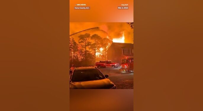 Massive Wildfires Burn Across North and South Carolina, Prompting State of Emergency and Evacuations