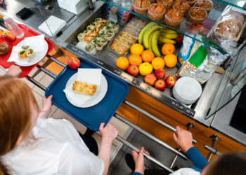 Trump Administration Cuts $1 Billion in Food Assistance Programs, Leaving Schools and Farmers Struggling