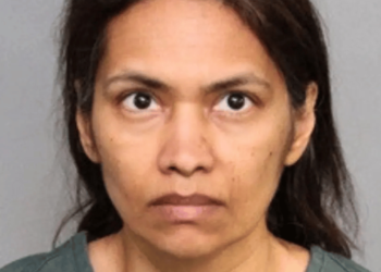 Mom Accused of Killing Her Son Following a Three-Day Vacation to Disneyland