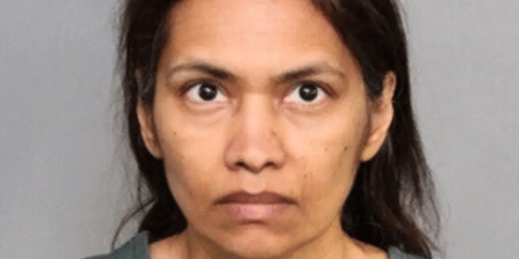 Mom Accused of Killing Her Son Following a Three-Day Vacation to Disneyland