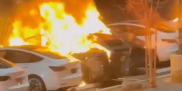 Tesla Collision Center in Las Vegas Targeted in Firebomb Attack [Video]
