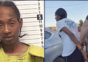 Florida Woman Posed as an ICE Agent to Kidnap Her Ex-Boyfriend’s Wife From Work [Video]