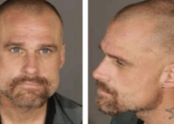 Man Arrested for Chopping Down Trees in Downtown L.A. with a Chainsaw