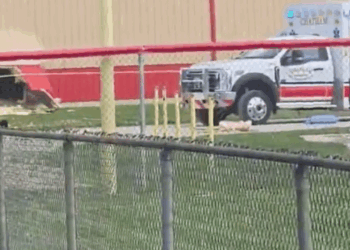 Four Dead After Car Crashes into Illinois After-School Camp, Several More Injured [Video]