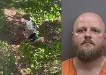 Florida Man Arrested After Pinning Down 11-Year-Old Girl He Thought Egged His Apartment