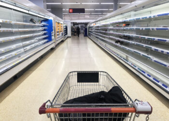 Empty Shelves & Shipping Chaos: Trump’s Trade War Could Hit Stores Hard This Summer