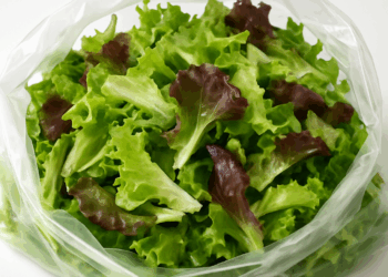 Bagged Lettuce Might Be the Riskiest Thing in Your Grocery Cart, Experts Warn
