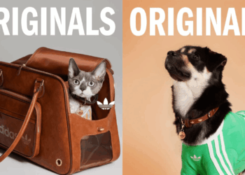 Ballerific Feashion: Adidas Introduces New Drip Exclusively for Pets Including Leather Collars and Carrying Bags