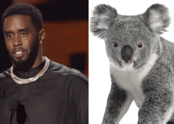 Diddy Says Courtroom Sketches Make Him Look Like a Koala Bear—And He’s Not Feeling It