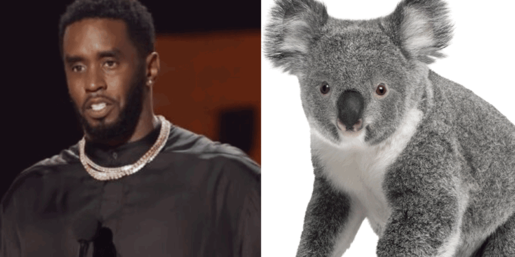 Diddy Says Courtroom Sketches Make Him Look Like a Koala Bear—And He’s Not Feeling It