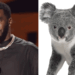 Diddy Says Courtroom Sketches Make Him Look Like a Koala Bear—And He’s Not Feeling It