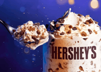 Ballerific Food: McDonald’s Unveils Hershey’s S’mores McFlurry for a Limited-Time Summer Treat