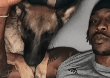 Dwight Howard Mourns Beloved Dog Sunday After Alleged Hit-and-Run: “I Need Answers"