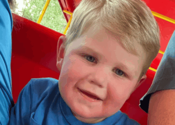 Georgia Toddler On Life Support After 150+ Yellowjacket Stings: "His Little Body Was Unable to Handle the Amount of Toxins"