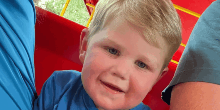 Georgia Toddler On Life Support After 150+ Yellowjacket Stings: "His Little Body Was Unable to Handle the Amount of Toxins"