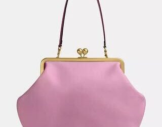 Ballerific Fashion: Coach’s Viral Kisslock Bag Sold Out in Minutes
