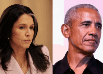 National Intelligence Director Tulsi Gabbard Says Obama Led a “Treasonous Conspiracy” — Wants Him Charged [Video]
