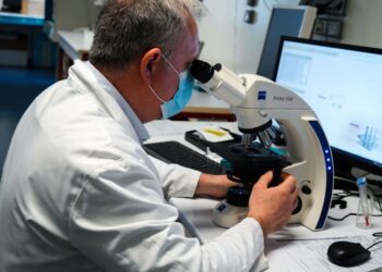 Man Comes Back from Panama with Flesh‑Eating Parasite — First U.S. Human Case