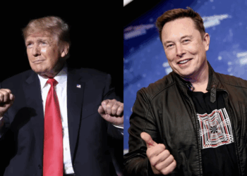 trump/ Elon