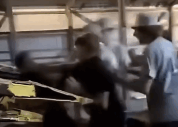 Wisconsin Teens Attack Black Boy, Push Him Toward Combine Harvester in Hate Crime Investigation