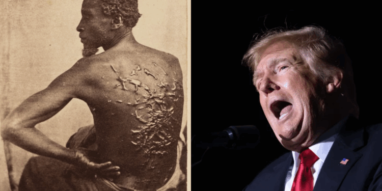 trump removes the scourged back - Baller Alert trump removes the scourged back